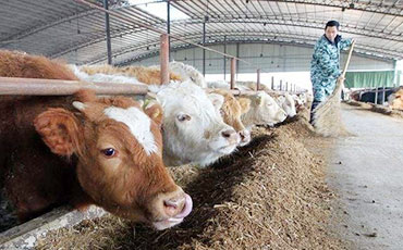 天潤新東鮮奶運輸車，護航北國奶香之旅